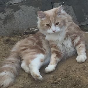 Meet your Posher, Nadean